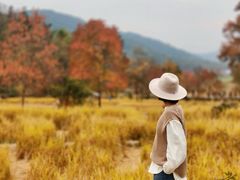 -塔川景区