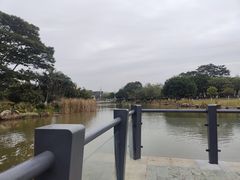 -官洲(地铁站)