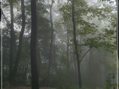 -凤栖山