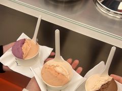 -Dip in Gelato(富民路店)