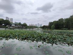 -月湖风景区