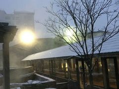 -陆地游轮吉林神农温泉