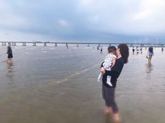 -南汇新城海滩
