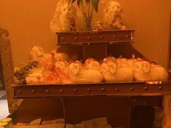 -蒙古人烤羊大师·绿野餐厅(工农大路店)