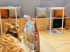 -啵啵喵·猫咖(攀华国际店)