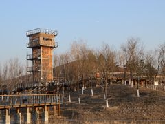 -东郊湿地公园