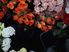 -循礼门鲜花花市(武汉循礼门店)