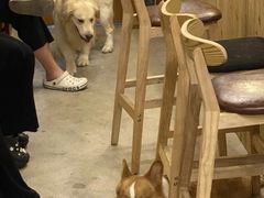 -爱侣宠医·鹦鹉专科·小型哺乳类·异宠专科(灵石路店)