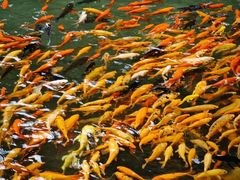 -楠溪江风景名胜区