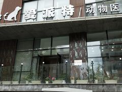 -爱派特动物医院·全科诊疗中心