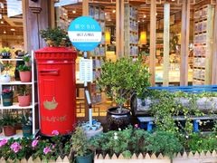 -猫的天空之城概念书店(丽江古城饮玉巷店)