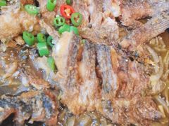 -老板恋上鱼(恒隆广场店)