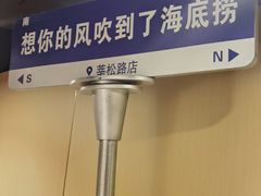 -海底捞火锅(莘松路店)