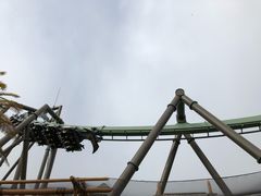 -飞天翼龙
