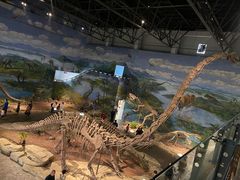 -自贡恐龙博物馆