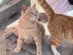 -终南山南五台景区