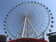 -青岛嘉年华主题乐园