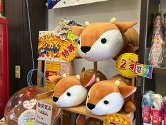 -奈良公园