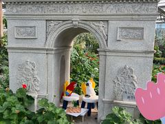 -南宫五洲植物乐园