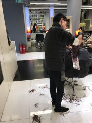 -TONI&GUY