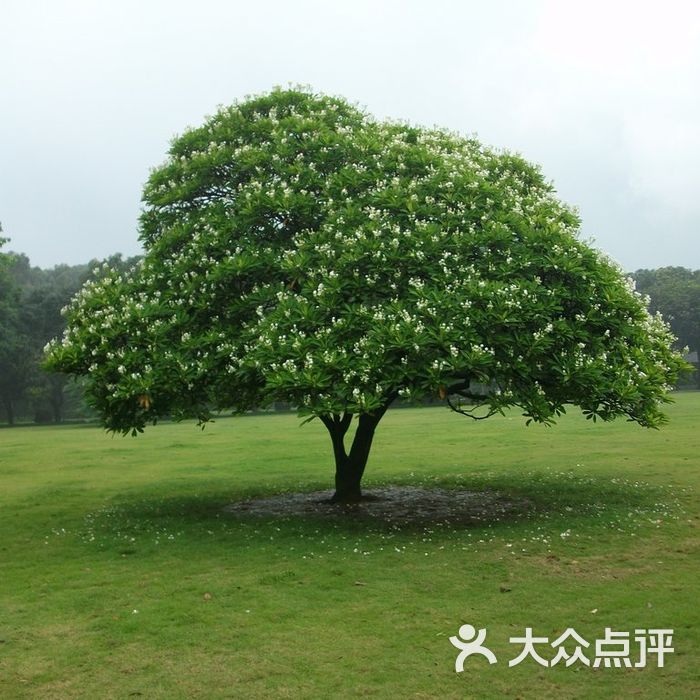 中國科學院華南植物園