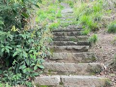 -青龙山国家森林公园