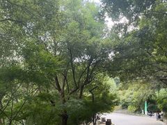 -南京市江宁方山