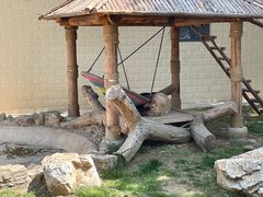 -石家庄市动物园