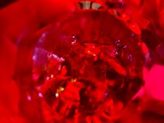-The Drinkery (瑞金店)