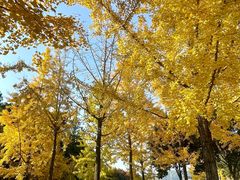 -浙江农林大学(东湖校区)