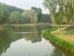 -东郊湿地公园