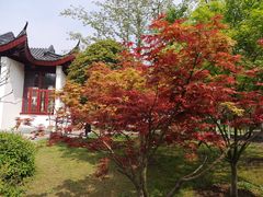 -堤角公园