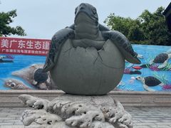 -广东惠东海龟国家级自然保护区