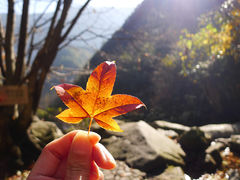 -大明山自然探索公园