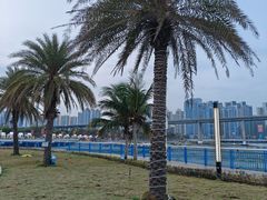-中澳友谊花园