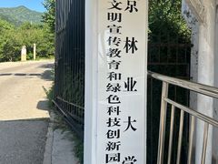 -北京鹫峰国家森林公园