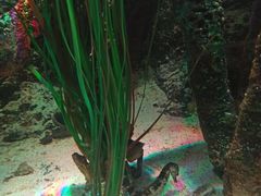 -沈阳海洋探索中心