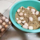 ️绝对是减脂解馋最佳首选