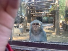 -石家庄市动物园