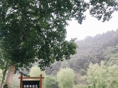 -仙居谷风景区