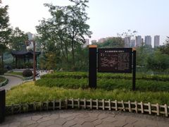 -重庆彩云湖湿地公园