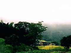 -公盂村