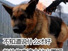 -海底捞火锅(关山保利店)