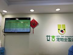 -艾吉宠物医院·疑难杂症转诊中心·猫友好(碧江路院)
