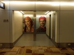 -英迪拉·甘地国际机场