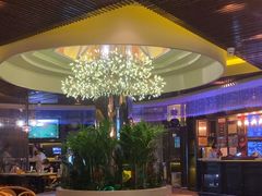 -润园四季椰子鸡火锅(海上世界店)