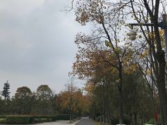 -合肥三国新城遗址公园