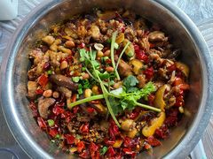 -食神又名厕所兔