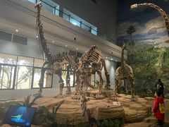 -自贡恐龙博物馆