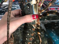 -四川小胡子海鲜(丁村万人海鲜广场店)